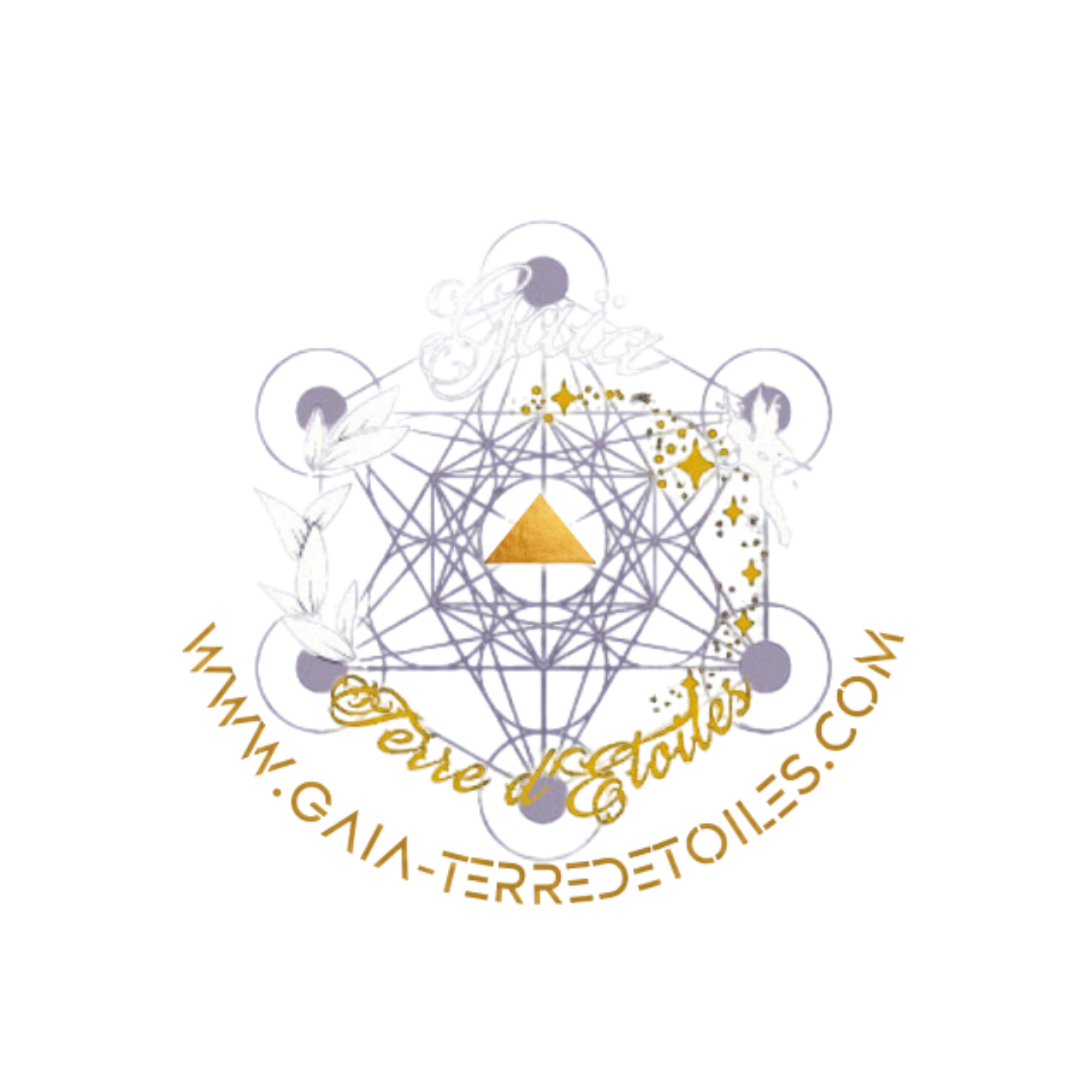 AMANDINE POTIER – SITE (14) Gaia terre d'étoiles