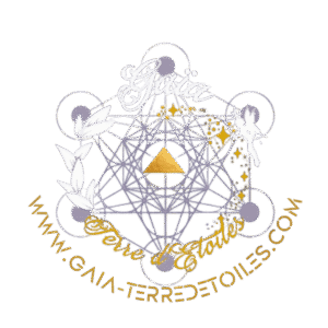 AMANDINE POTIER - SITE (5)