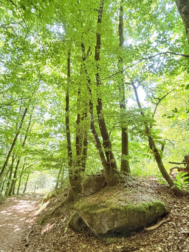 IMG-20250813-WA0018(1)